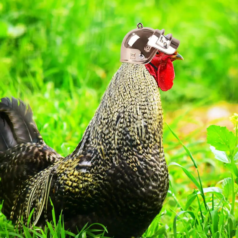 Chicken Helmet Small Pet Hard Hat Funny Chicken Helmet Hen Hard Bird Hat Headgear Protective Pet Helmet Safe Supplies