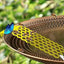 Bee Drinking Station Floating Bee Water Ladder Station Special Design Drinking Water Tool For Pond Any Swimming Pool Bird Bath
