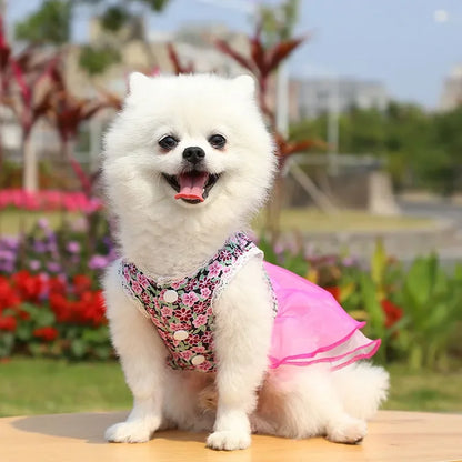 2024 Summer Dress for Dog Pets Clothes Chihuahua Wedding Dress Skirt Cloth Accessory Dog Pet Dress Supplies Hanbok Cat Costume