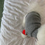 Autumn Winter Plush Pet Dog Clothes Heart Print Soft Velvet Cat Hoodie Teddy Pet Overalls Thick Warm Yorkshire Marzis Clothing