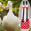 Adjustable Nappy Clothes Pet Supplies Physiological Pant Bowknot Chicken Diaper Clothes with Elastic Band Chicken Duck Diapers