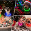 Luminous Dog Collar Light Charge Cat Necklace, Led Fashion Flashing DIY Glowing Safety Collar for Dogs Nighttime Pet Accessorie