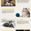 Cat Toy Cat Teaser Sticks Steel Wire Cat Teaser Rod Bell Feather Ball Chicken Feather Cat Teaser Rod Plastic Cat Toys