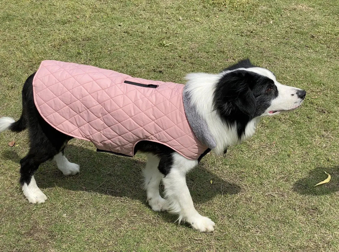 Warm Fleece Collar Dog Coat Jacket Double-Sided Winter Dog Coat Waterproof Puppy Clothing For Small Medium & Large Dogs Supplies