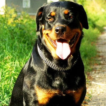 3 Rows Stainless Steel Dog Chain Collar Strong Metal Dog Chain Slip Pinch Choke Collar for Walking and Training Pet Pit-bull Dog