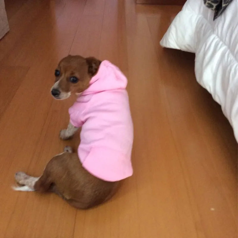 Winter Pet Doggy Clothing Leisure Small Dogs Hoodies Coat for Puppy Soft Warm Cat Dog Sweater Sweatshirt Teddy Chihuahua Clothes