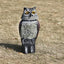 Owl Decoys to Scare Birds Squirrels Away Realistic Bird Repeller Owl Prowler Decoy Protection Repellent Pest Control Scarecrow