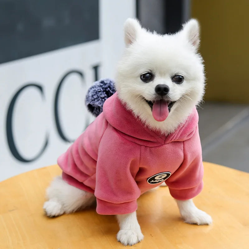 Pet Dog Cat  Clothes Fleece Hooded Hairball Coat Jacket Winter Kitty Small Medium Dogs Cats Cool Pajamas Chihuahua