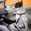 Dog Seat Belt Car Seatbelt Harness for Dogs Adjustable Durable Nylon Reflective Bungee Fabric Tether Car Travel Supplies for Pet