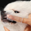 Dog Toothbrush Pet Fingertip Toothbrush for Cat Super Soft Oral Care Toothbrushes Finger Brush for All Pets Tooth Cleaning Brush