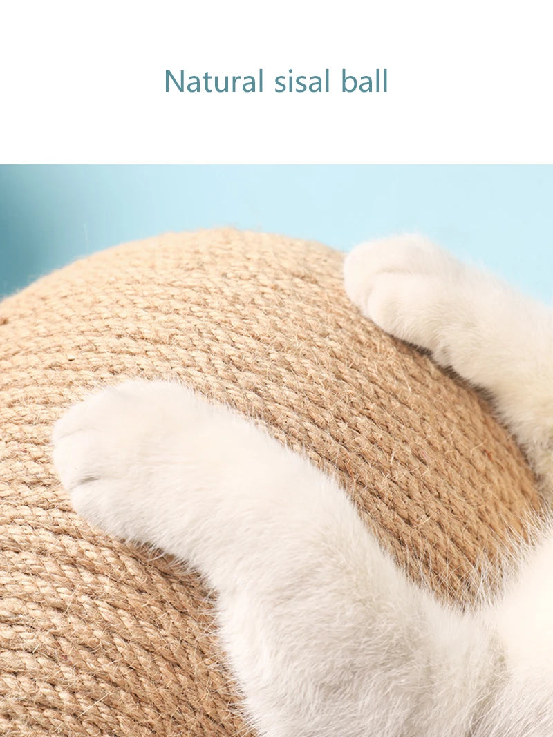 Clearance_Cat Supplies_Continuous updates