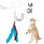 Cross-border new pet cat toy set colorfulfulful feather fishing rod caterpillar bell replaceable head funny cat stick