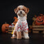 Halloween Dog Costume Funny Dog Clothes Terror Spider Skull  Pet Dog Dress Puppy Jumpsuit Chihuahua Bichon Dachshund Dog Outfits