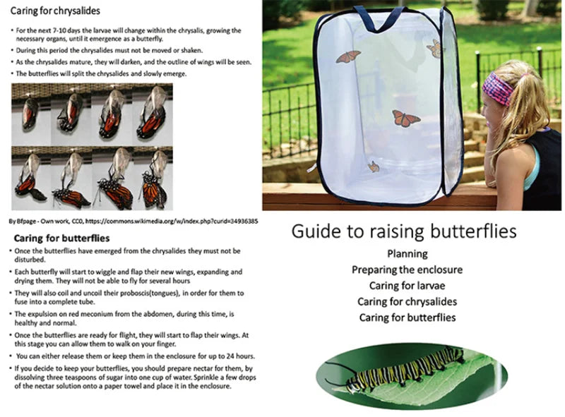 Collapsible Insect Cage Mesh Habitat Bird Butterfly Mantis Stick Grid Breeding Cricket Net Cloth Farm Cocoon Silkworm Hatch Cage