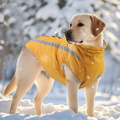 High Collar Big Dog Coat Jacket Winter Warm Thicken Pet Clothes for Medium Large Dogs Labrador Samoye Jackets mascotas Clothing