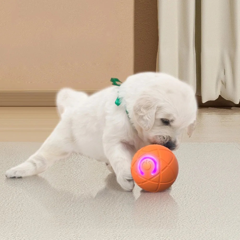 Smart Dog Toy Ball USB Automatic Moving Bouncing Ball Dog Toy Rechargeable Bite-Resistant Dog Ball Electric Interactive Pet Toy