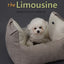 Pet car seat car travel pet sofa seat cushion four seasons general pet supplies dog kennel wholesale