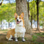 4PCS Dog Boots Dog Boots Paw Protector 5 Sizes Dog Boots With Rugged Rubber Sole Breathable Dog Boots Anti-slip For Summer