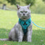 Cat Harness and Leash Set Escape Proof For Small Medium Dog Cat Breathable Reflective Adjustable Kitten Chest Strap Pet Supplies