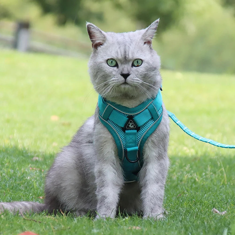 Cat Harness and Leash Set Escape Proof For Small Medium Dog Cat Breathable Reflective Adjustable Kitten Chest Strap Pet Supplies