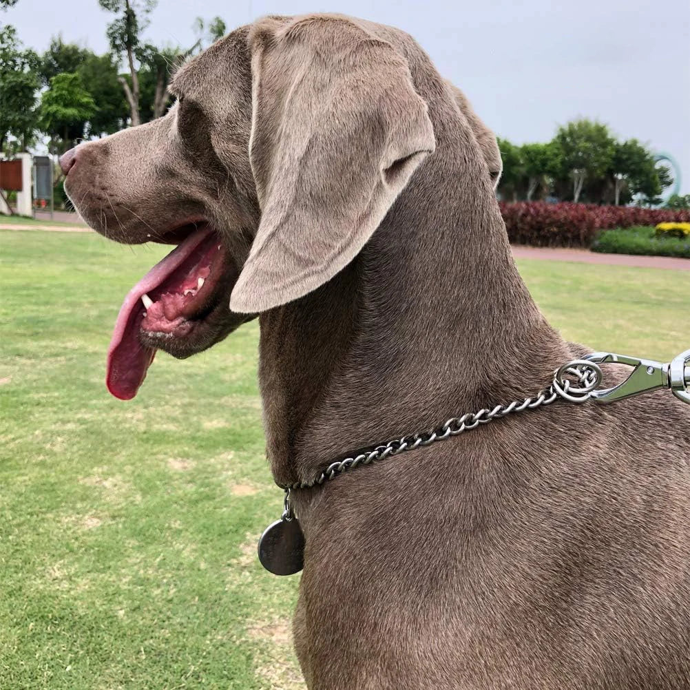 Durable Silver Dog Chain Collar Stainless Steel Choke Cuban Link Necklace Pet Training Collar for Small Medium Large Dogs Pitbul