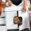 Kennel Four Seasons Universal Wooden Dog House  Dog Villa Internet celebrity Pet House Cat Dog Universal Wooden House