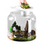 Large Turtle Tank Transparent Turtle Aquarium Turtle Tank With Lid Turtle Terrarium Tortoise Enclosure With Removable Cover