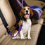 Pet Dog Cat Car Seat Belt Medium Dogs Travel Clip Adjustable Harness For Medium Dogs Seatbelt Lead Leash Pet Supplies