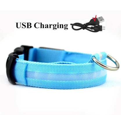 LED Dog Collar USB Rechargeable - Bright & High Visibility Lighted Glow Collar for Small Medium Large Breeds Pet Night Walking