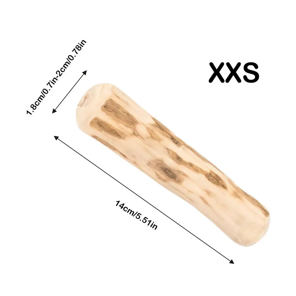 Real Wooden Dog Chew Toys Safe Interactive Pet Chew Stick Natural Dog Teeth Cleaning Hard Portable Sticks For Puppy Travel Toy
