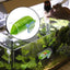 Betta Acrylic Tube Betta Fish Resting Tube Safe Enrichment Acrylic Tube Multifunctional Betta Tunnel Swim Tube Smooth