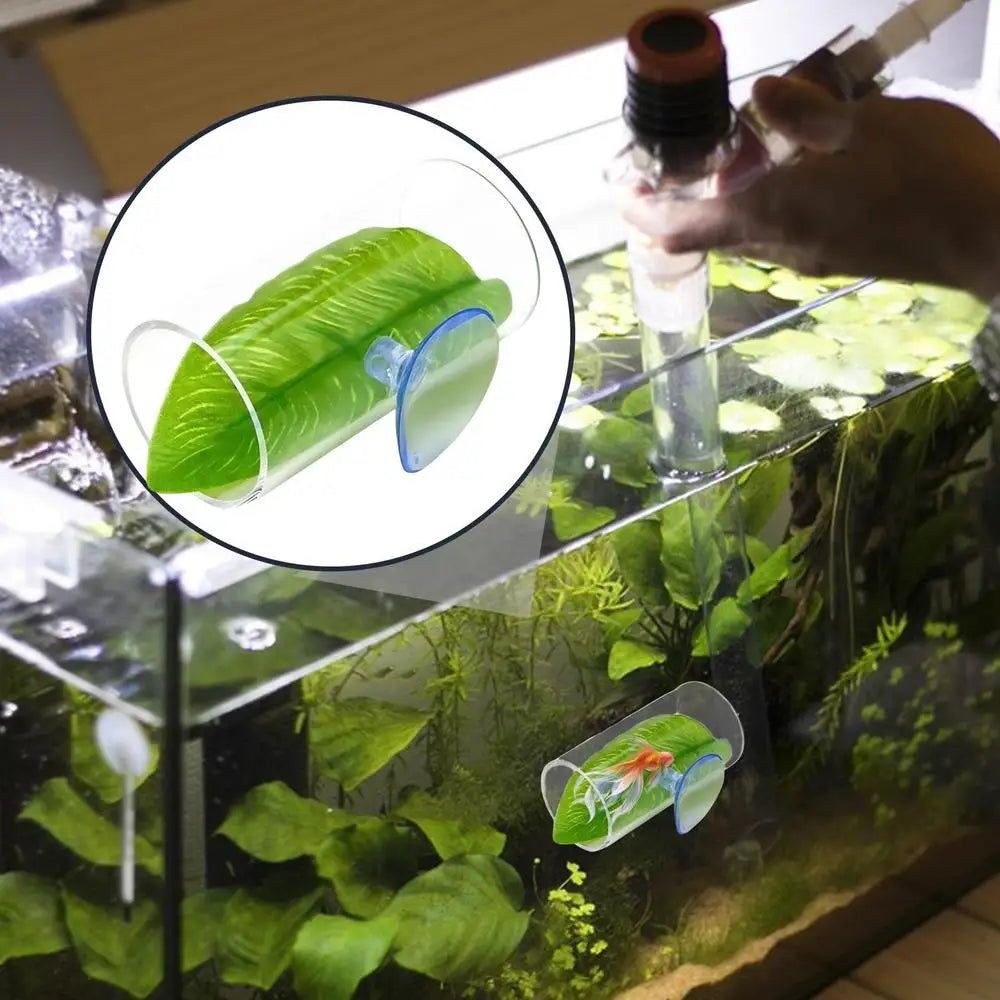 Betta Acrylic Tube Betta Fish Resting Tube Safe Enrichment Acrylic Tube Multifunctional Betta Tunnel Swim Tube Smooth