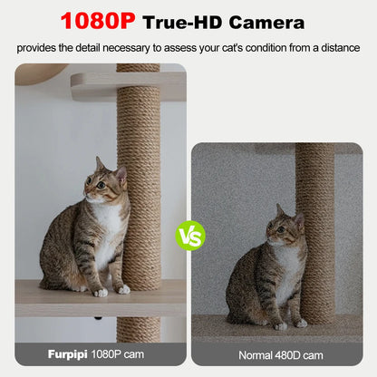 8L Automatic Cat Feeder With 1080p Camera Video 5G WiFi Cat Food Dispenser Pet Smart Voice Recorder Tuya APP Pet Auto Feeder