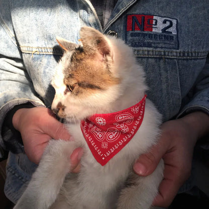 Small Dog Cat Bandana Collar Adjustable Puppy Dog Kitten Neckerchief PU Collar with Printed Triangular Scarf Pet Collar for Cat