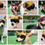 Cool Pet Sunglasses Eyewear for Dogs Animals mascotas Grooming Accessories Outdoor Cycling Puppy Dog Goggles Schnauzer Glasses