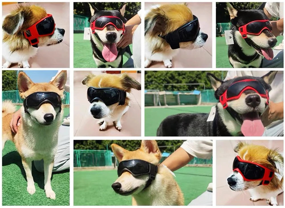 Cool Pet Sunglasses Eyewear for Dogs Animals mascotas Grooming Accessories Outdoor Cycling Puppy Dog Goggles Schnauzer Glasses