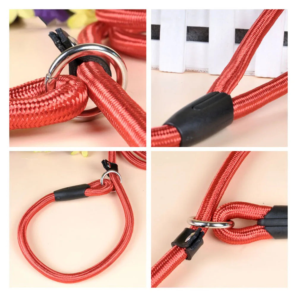 Nylon Dog Leash Pet Puppy Slip Lead Rope Dog Slip Leash Chain Collar Adjustable No-Pull Dog Training Leash for Small Dogs Yorkie