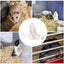 80/60ml Hamster Water Fountain Pet Water Bottle Gerbil Automatic Feeder Feeding Small Pet Water Dispenser Holder Suspension