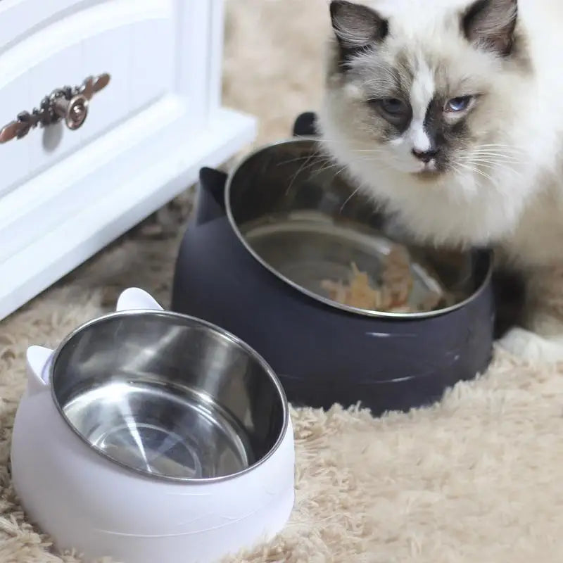 Automatic Pet Heating Bowl Heating Drinking Water Heating Insulation Dog Winter Bowl Pet Food Containers Heating Bowl