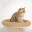 Cat Nest Cat Climbing Shelves Wall Mounted Tree Tower Stairway Ladder For Cats Hammock Perch Wooden For Cat Climbing & Playing