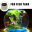 20/10pcs/set Aquatic Plants Fixed Ring Set Anti-Floating Water Plant Anchor Weights Pot Aquarium Decoration Fish Tank Landscape