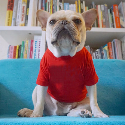 Dog Shirt for Small Dogs Plain T-Shirts Soft Dog Cotton Shirt Puppy Clothes for Spring Summer Breathable Pet Apparel Accessories