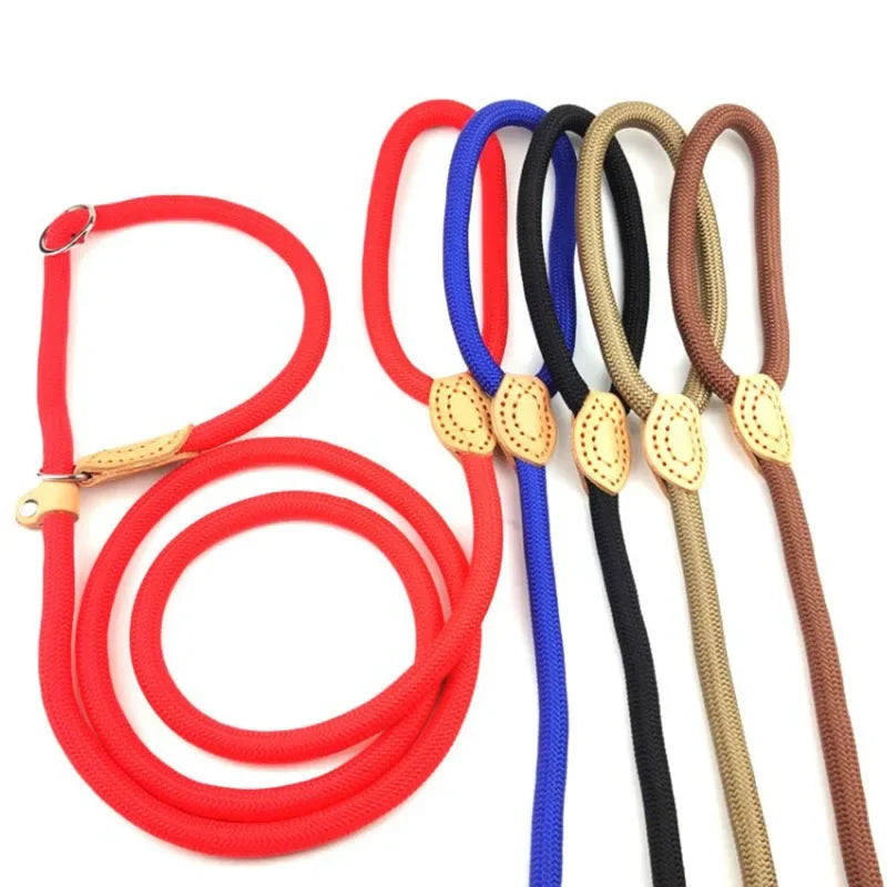 Dog Leash Slip Rope Lead Leash Heavy Duty Braided Rope Adjustable Loop Collar Training Leashes for Small Medium Large Dogs 180cm