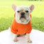 Autumn winter sweater cowboy pocket two legged clothes sports style pet clothes dog cat clothes pet products