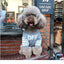 The New Pet Clothes  Cat Sweater  Dog Sweater Korean Version Spring and Autumn Parent-child Wear Six Sizes