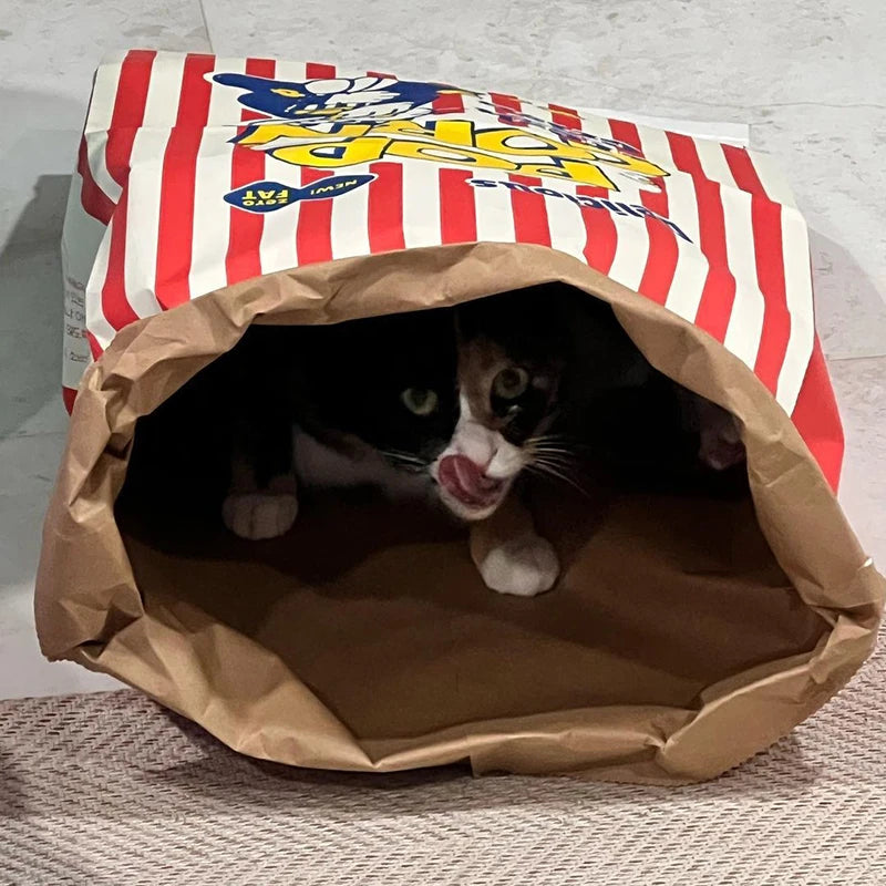Creative Cute Hidden Food Pet Cat and Dog Kraft Paper Popcorn Paper Bag Puzzle Decompression Sound chew Dog Toy