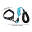Reflective Dog Collar Adjustable Neck Collars With Rope Kit For Pet Puppy Weatherproof Dog Collar Padded Suitable Puppy Collar