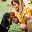 Chicken Leg Pet Toy Cute Dog Interactive Puppy Toys Halloween Dog Toy Funny Chicken Leg Squeaky Dog Toys Dog Chew Toys