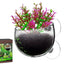 Aquatic Plant Pots Aquatic Planter With Suction Cups Red Shrimp Live Plants Fish Tank Holder Aquatic Tank Live Plant Pot