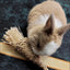 Natural Paper Rope Rabbit Puzzle Toy Grass Weaving Radish Carrot Shape Pet Accessories Guinea Pig Chinchillas Small Animals Toys